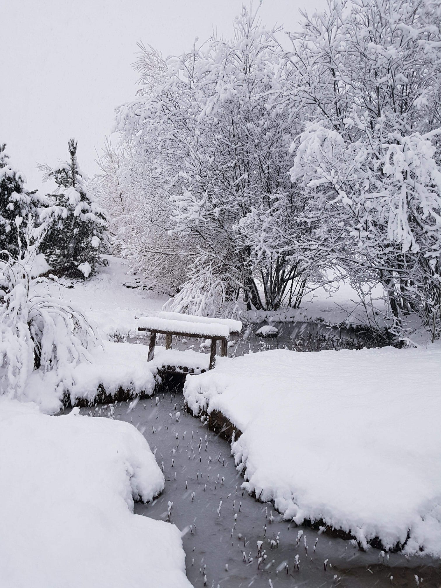Le gîte sous la neige